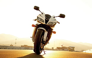 white and black motorcycle, Honda, cbr , cbr 600 rr, motorcycle