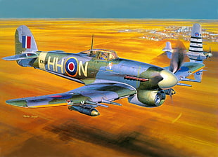 fighter planes videogame screenshot, World War II, airplane, aircraft, Hawker Typhoon HD wallpaper