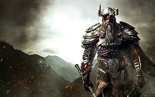 viking knight digital wallpaper, The Elder Scrolls, fantasy art, Vikings, video games