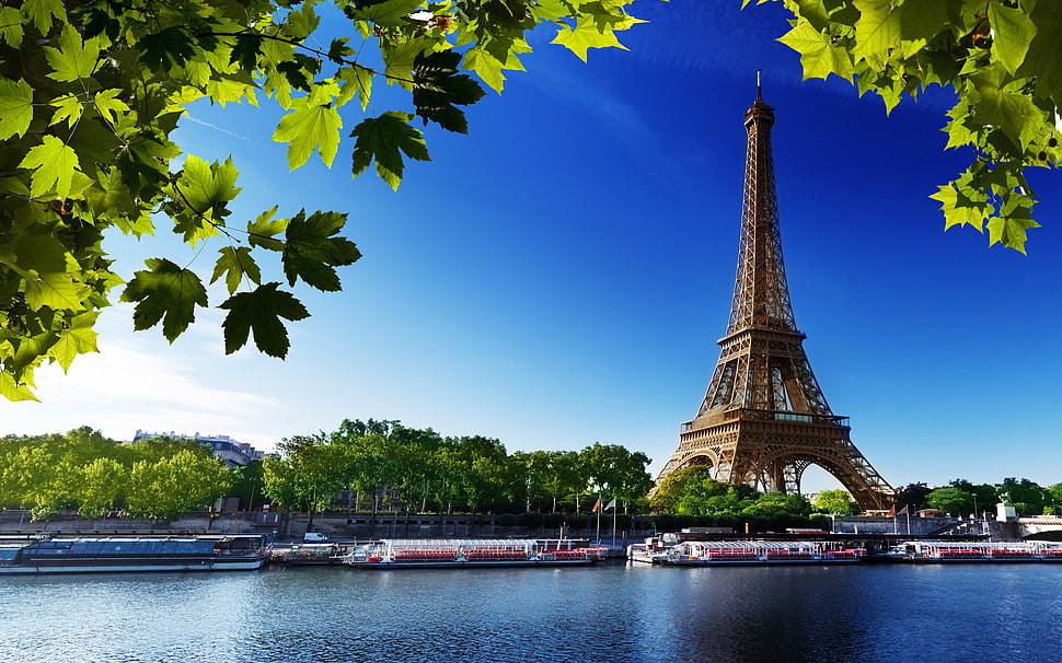 Eiffel tower, Paris HD wallpaper