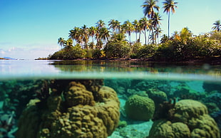 photo of island and coral reefs during daytime HD wallpaper