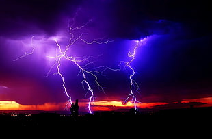 purple lightning, night, lights, lightning HD wallpaper