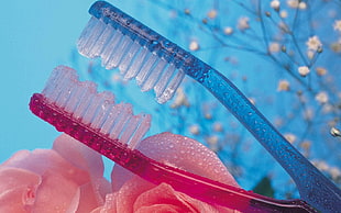 blue and pink toothbrush with droplets of water in tilt shift lens photography HD wallpaper
