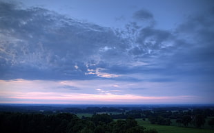 aerial view of green trees field under cloudy sky