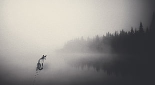 grayscale photo of person, fox, lake, forest