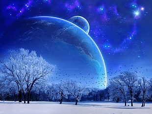white tree illustration, planet, sky, trees, winter
