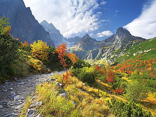 landscape photo of mountain range
