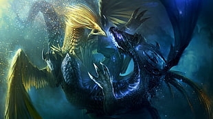black and gold dragon illustration, dragon, fantasy art