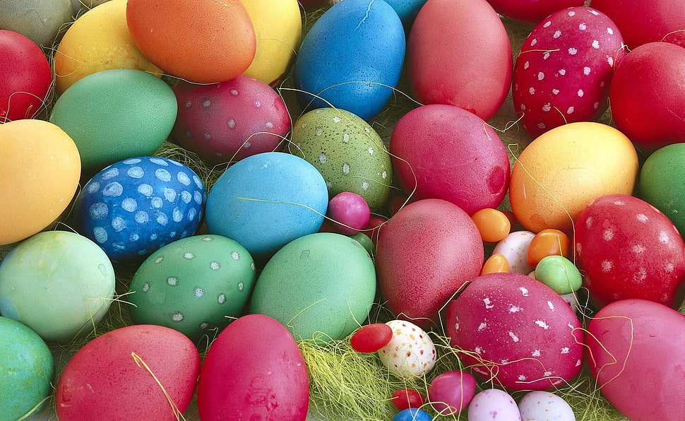 assorted colors eggs lot HD wallpaper
