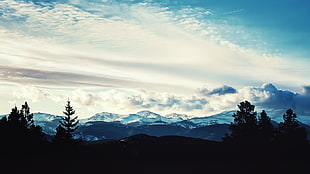 mountains and trees, nature, landscape, trees, clouds
