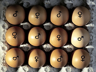 organic eggs marked with gender signs