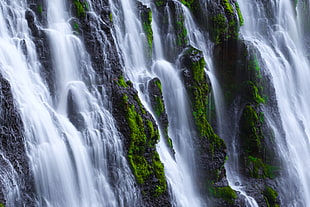 photo of waterfalls with algae