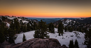 mountain hill filled with snow and trees, lassen