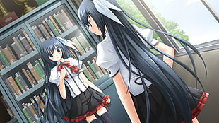two black hair anime girls character