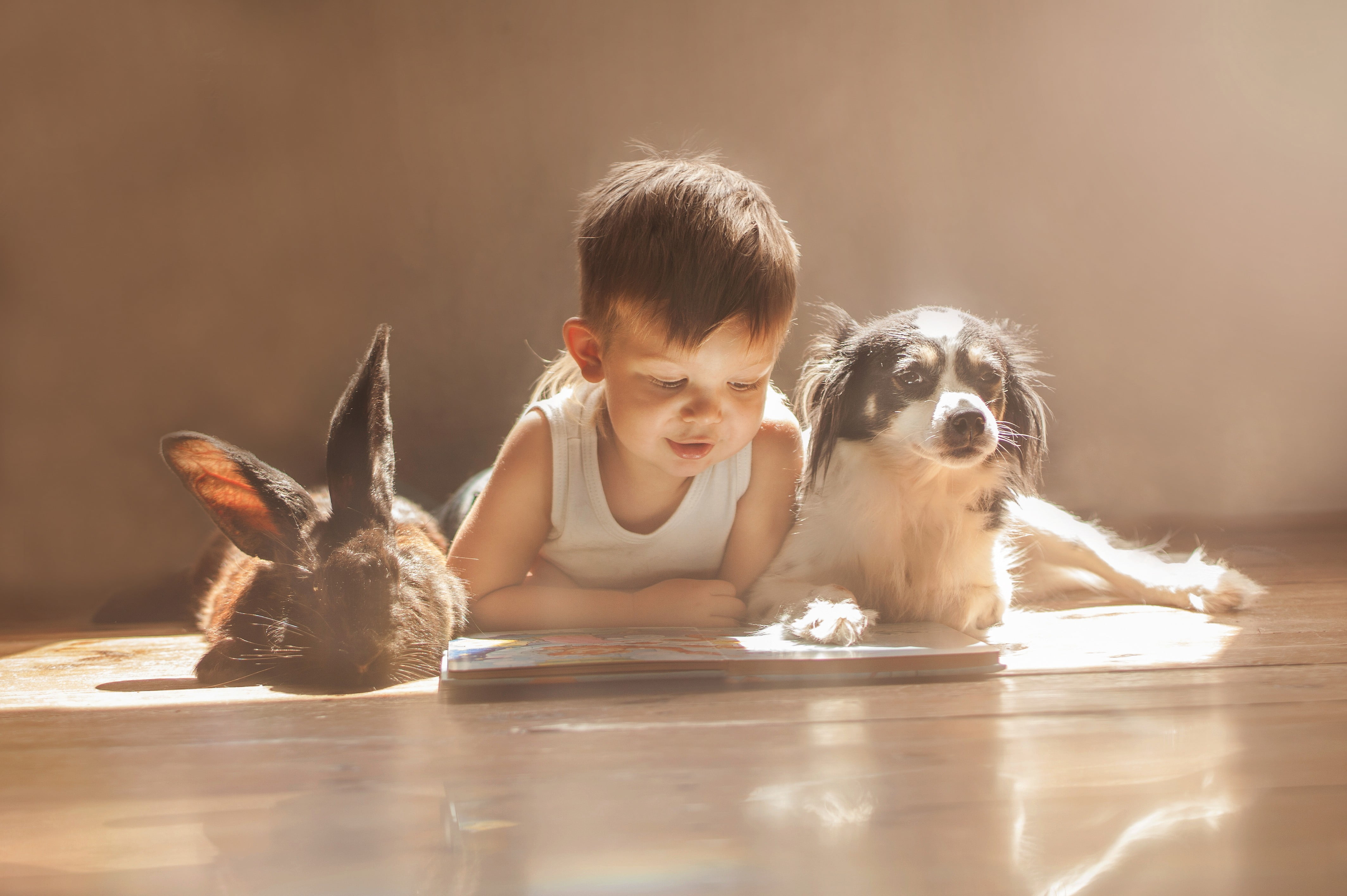 boy's white tank top, rabbits, dog, children, books