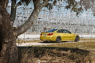 yellow 5-door hatchback, BMW, M4, BMW M4, ADV.1 HD wallpaper