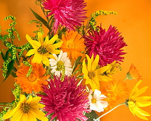 multi-color assorted bouquet flower HD wallpaper