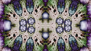 kaleidoscope photography HD wallpaper