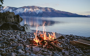brown firewood, fire, campfire, lake, stones