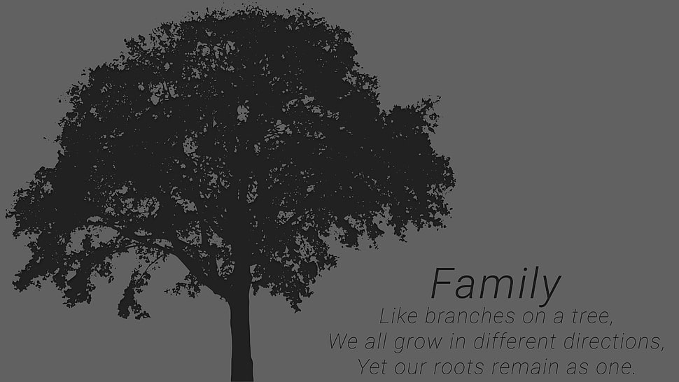 green leafed tree, minimalism, simple HD wallpaper