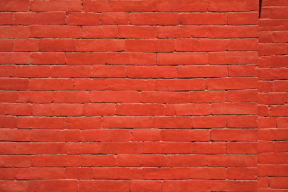 brown concrete brick wall HD wallpaper