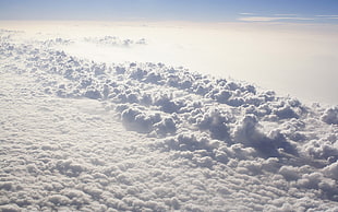 white and black floral area rug, sky, clouds