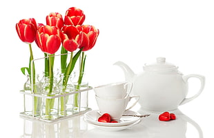 white ceramic tea pot with tea cups and red roses
