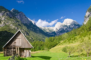 wooden house near mountain side at daytime, slovenia