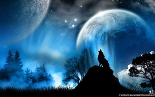 wolf howling digital wallpaper, wolf, vector