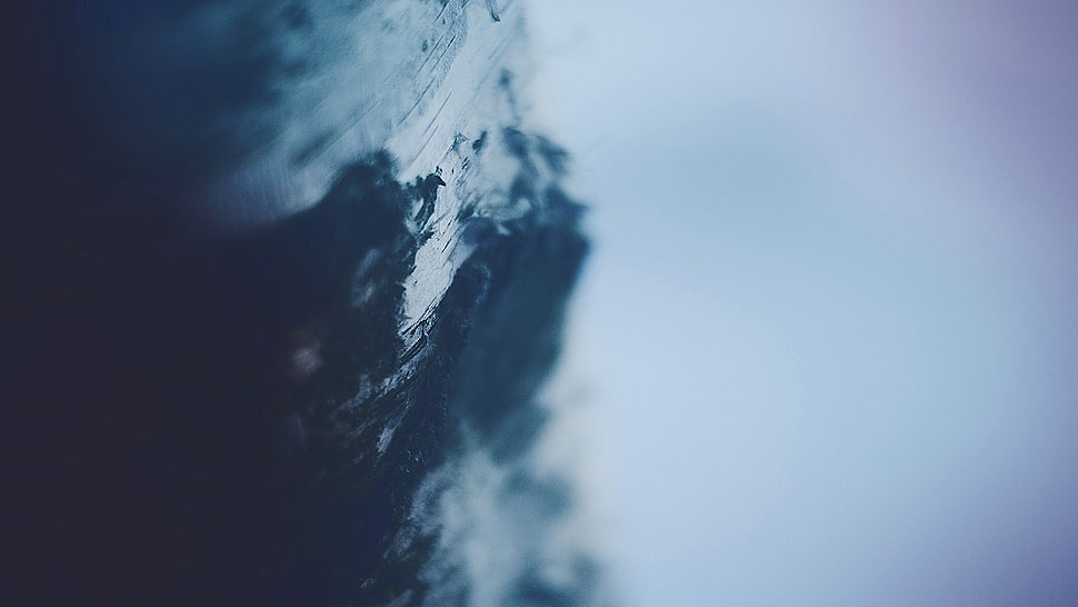 macro HD wallpaper