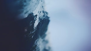 macro HD wallpaper
