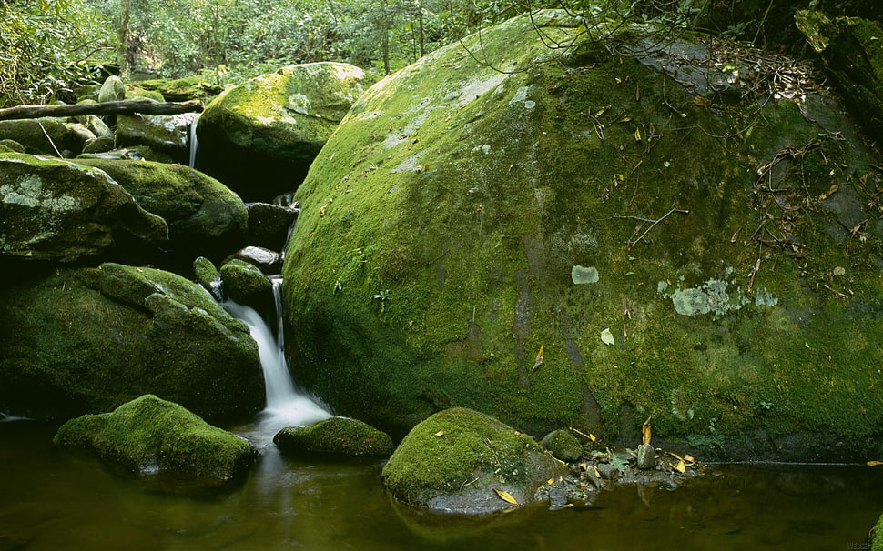 green mossy stone HD wallpaper