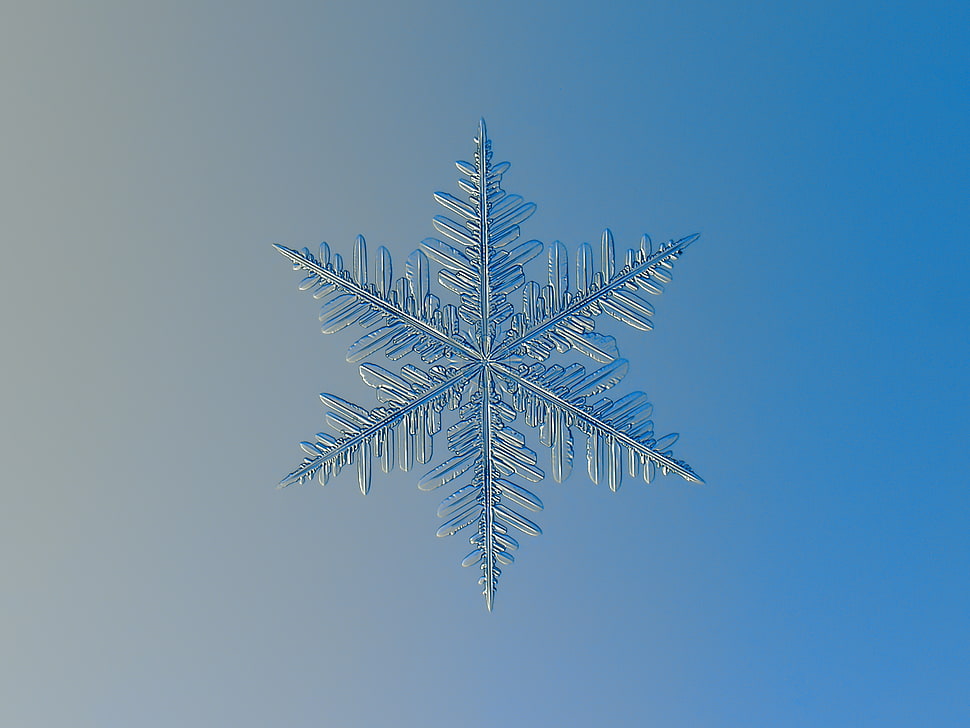 white snowflake HD wallpaper