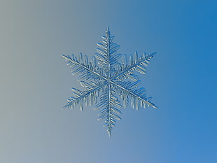 white snowflake