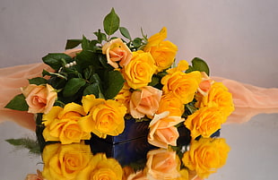 yellow and peach Roses bouquet HD wallpaper