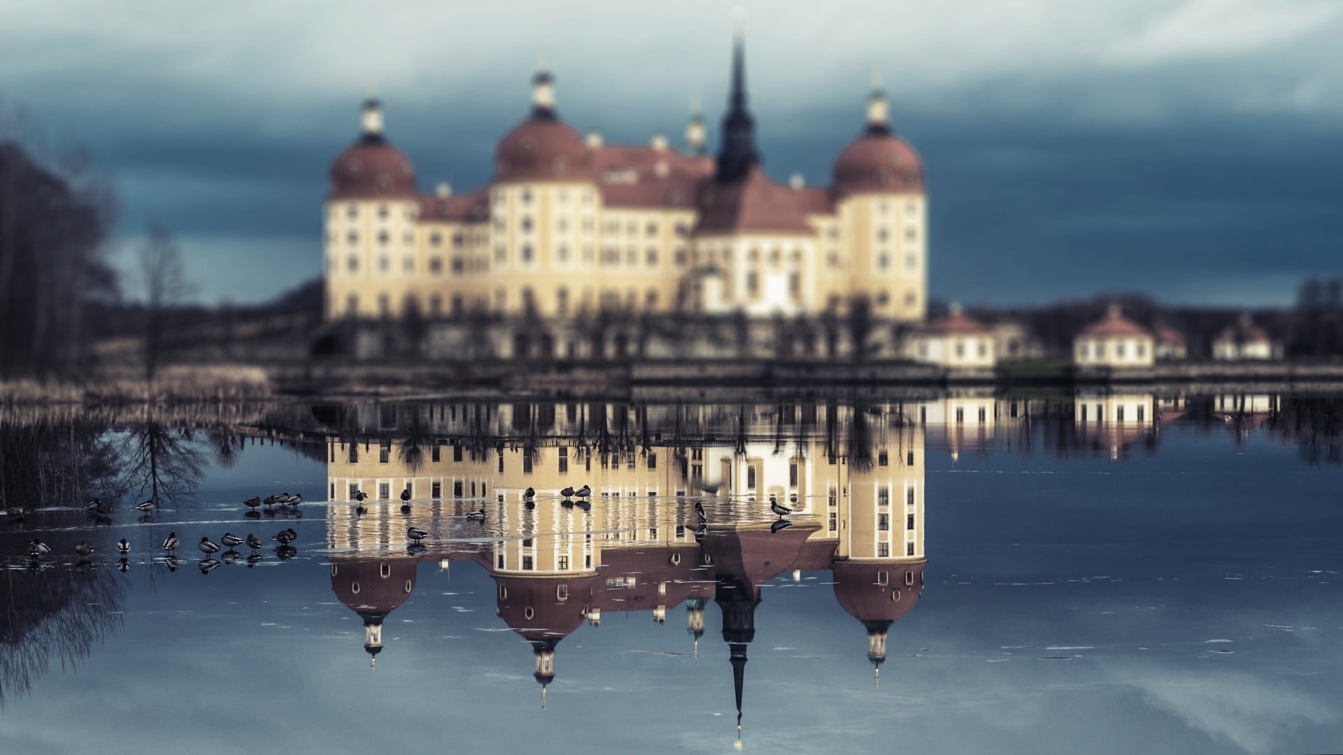 brown wooden dining table set, moritzburg castle, reflection, water