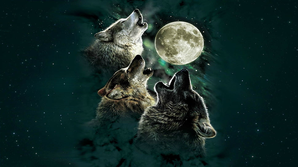 three wolves with moon painting, digital art, wolf, Moon HD wallpaper
