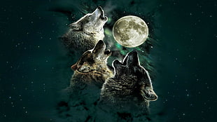 three wolves with moon painting, digital art, wolf, Moon