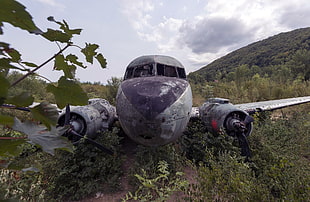 gray aircraft, wreck, vehicle, aircraft