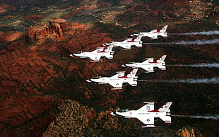 white-and-red military air force jets, aircraft, military, airplane, General Dynamics F-16 Fighting Falcon HD wallpaper