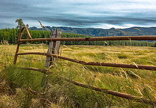 brown wooden fence, wahkiakum county HD wallpaper