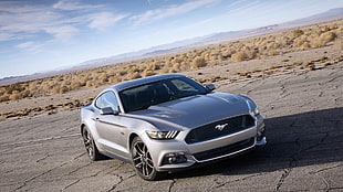 silver Ford Mustang coupe, 2015, Ford, Ford Mustang, GT
