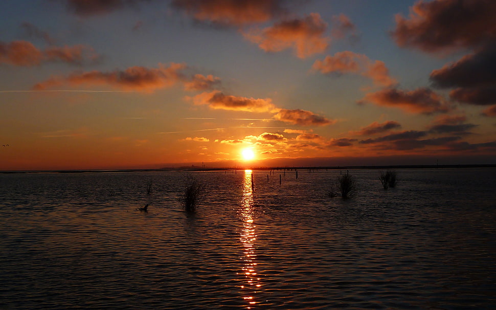 brown wooden framed wall decor, sunset, beach, sky, clouds HD wallpaper