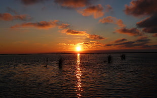 brown wooden framed wall decor, sunset, beach, sky, clouds