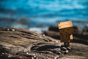 boxman standing on stone during daytime, barnacle