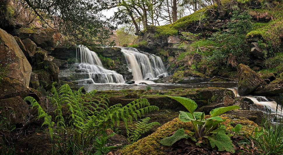 waterfalls photography surrounded by trees HD wallpaper