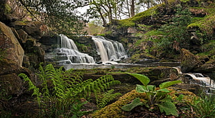 waterfalls photography surrounded by trees