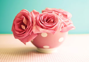 four pink rose with pink and white polka-dot vase centerpiece close-up photography