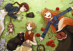 boy's yellow and black crew-neck shirt, Spice and Wolf, Holo, apples, Okamimimi