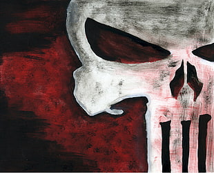 The Punisher logo HD wallpaper